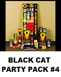 Black Cat Party Pack #4