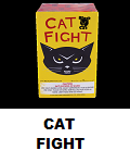 Cat Fight