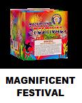 Magnificent Festival