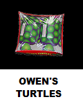 Owens Turtles